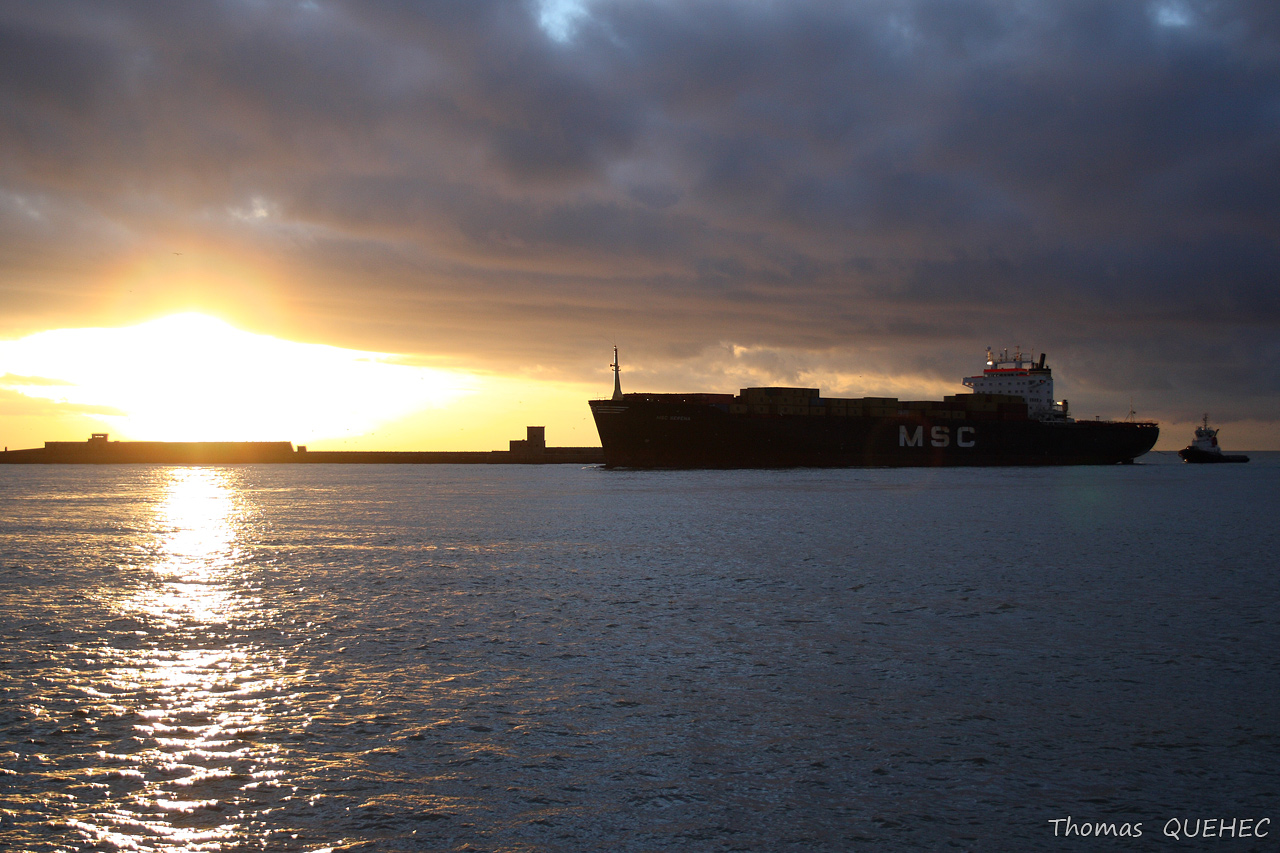 MSC SERENA - 7502904