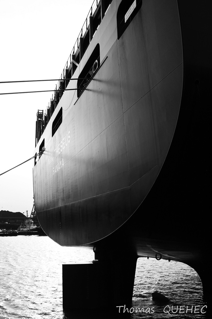 NYK THESEUS - 9356701