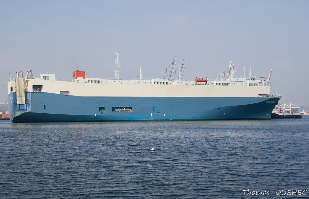 PACIFIC ANGEL - 8202599