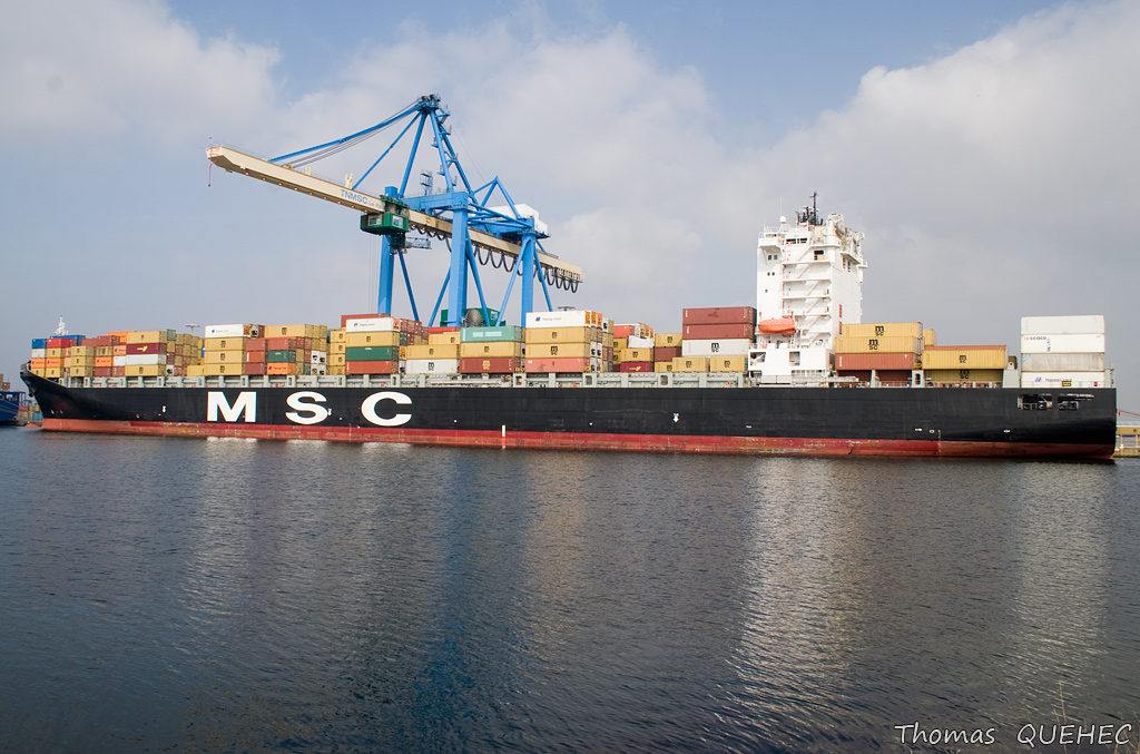 MSC LORENA - 9320403