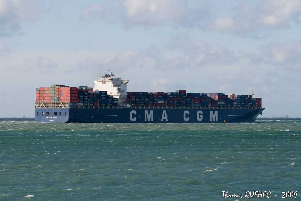CMA CGM MUSCA - 9356311