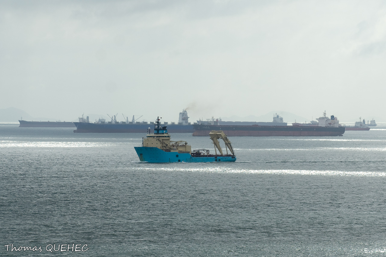 MAERSK ASSISTER - 9193783