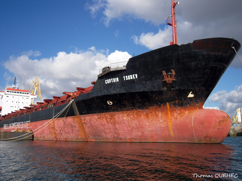 CAPTAIN TSAREV - 8128860