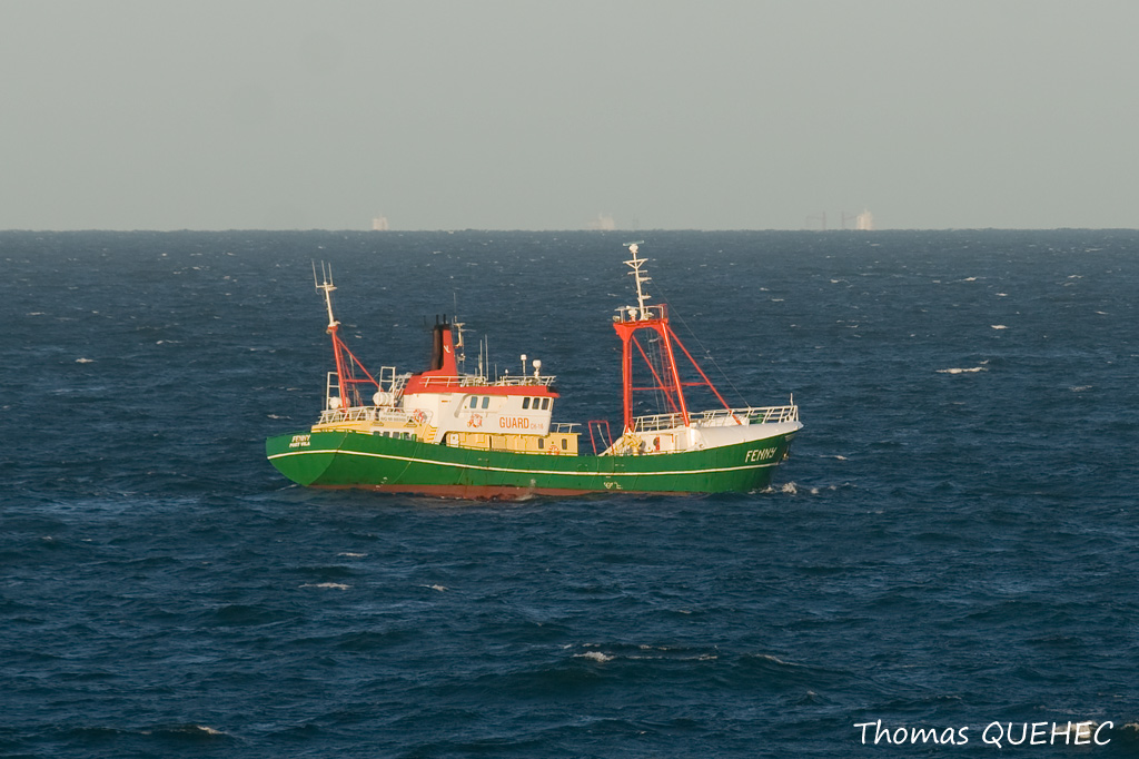 FENNY - 8003450
