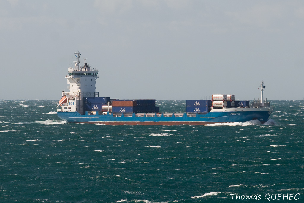 FREYA - 9219874