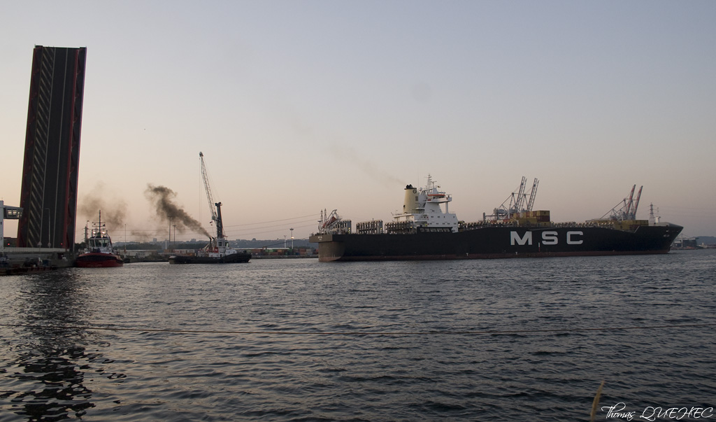 MSC LEA - 9162643