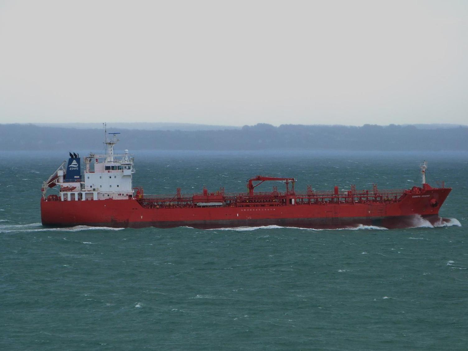 ESHIPS AGAMID - 9353864