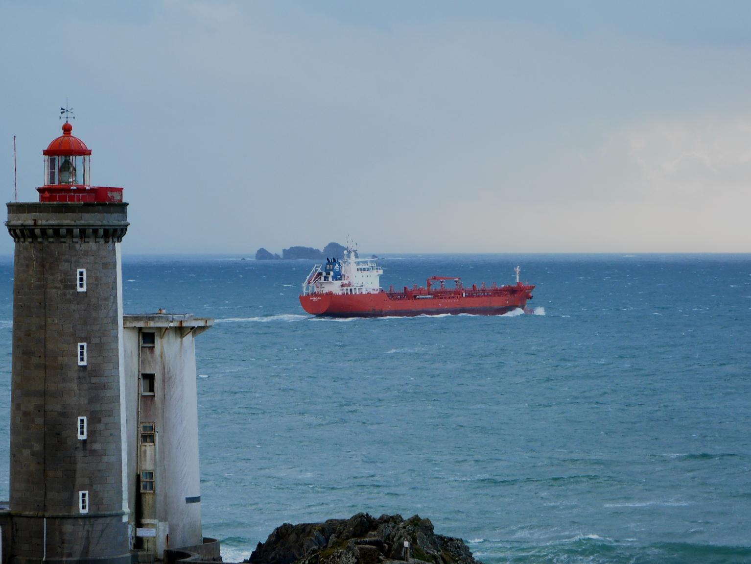 ESHIPS AGAMID - 9353864