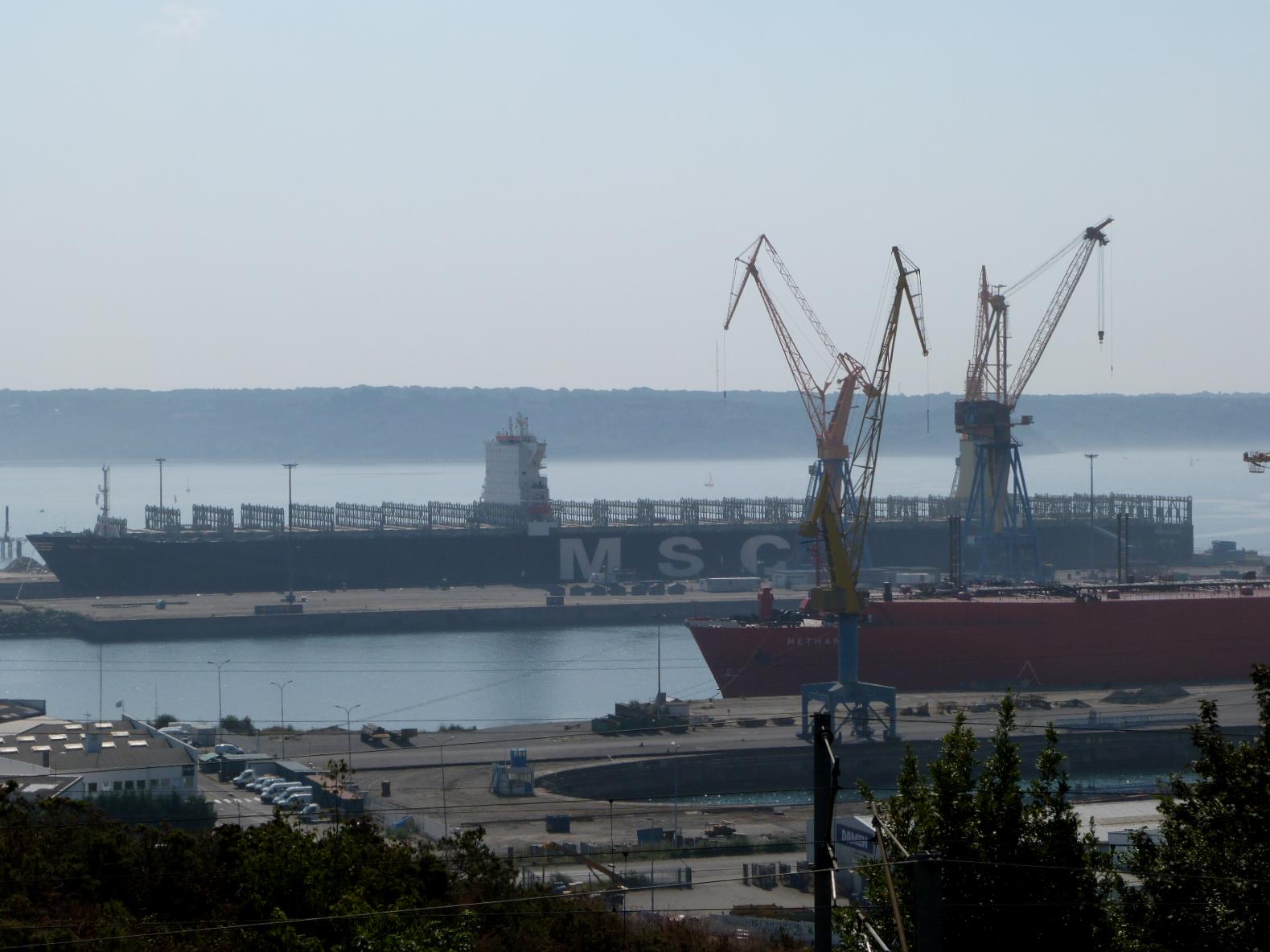 MSC BETTINA - 9399038