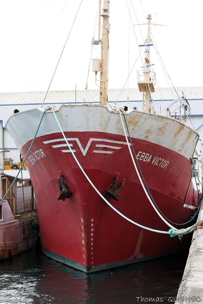 EBBA VICTOR - 6421921